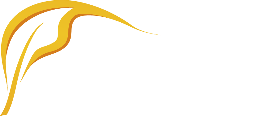 Wiya Coaching