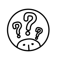 Curiosidade
